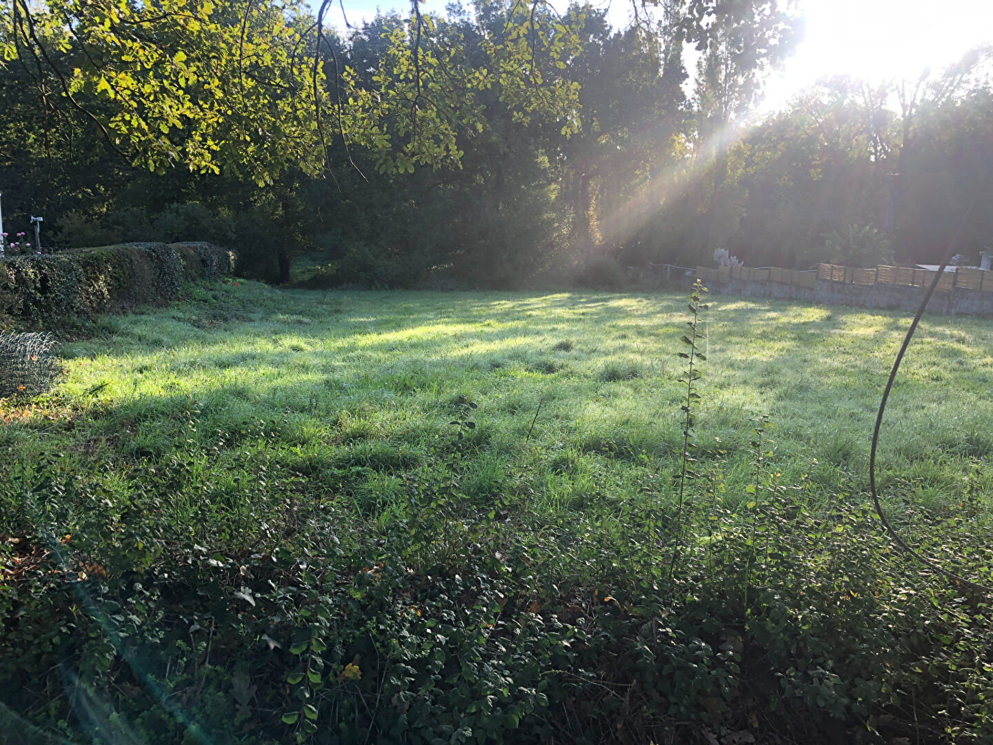 Terrain 2348 m²
